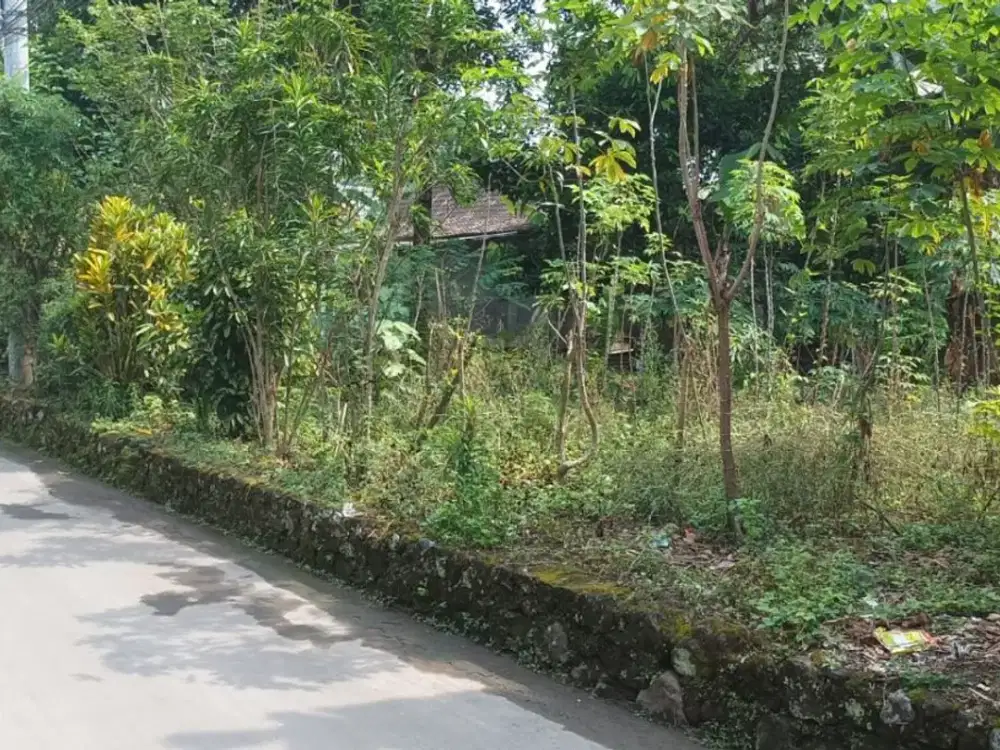 Tanah Luas 1165 Meter Persegi Lokasi Strategis Dekat RSUD Sleman