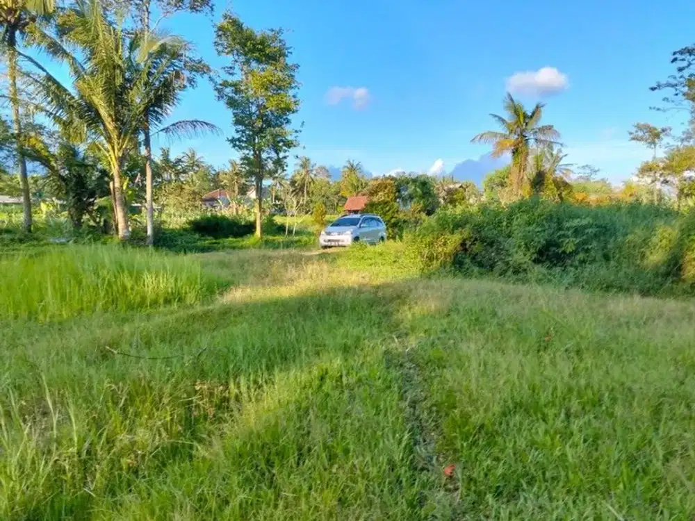 Dijual Tanah Strategis Jalan Boyong, Hargobinangun, Pakem, Sleman