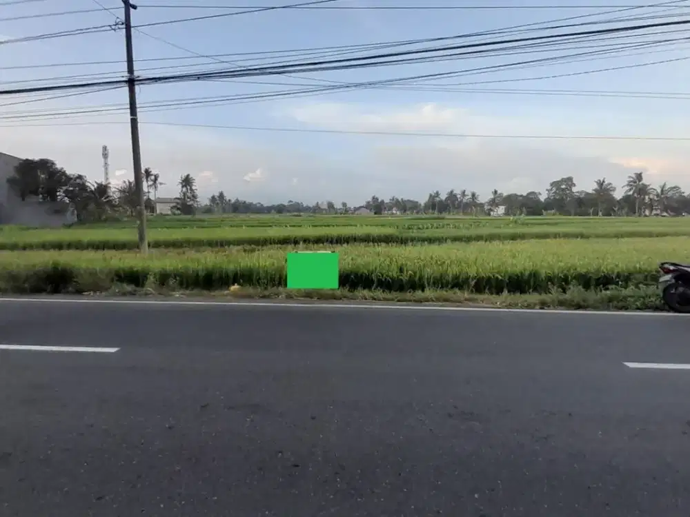 Tanah Sawah Luas di Tepi Jalan Raya Selomartani - Potensi Investasi