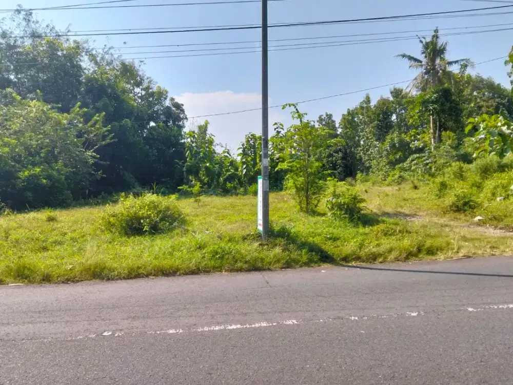 Dijual Tanah Prospektif Dekat Objek Wisata Bukit Menoreh di Moyudan - Sleman