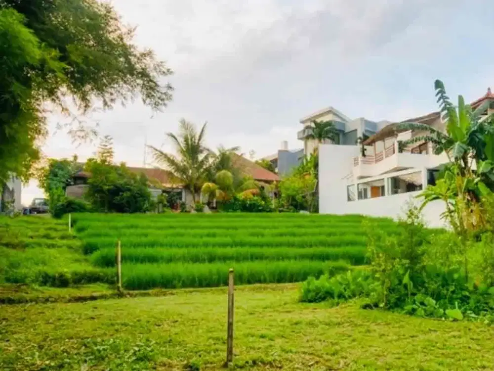 Tanah Tumbak Bayuh Canggu Badung