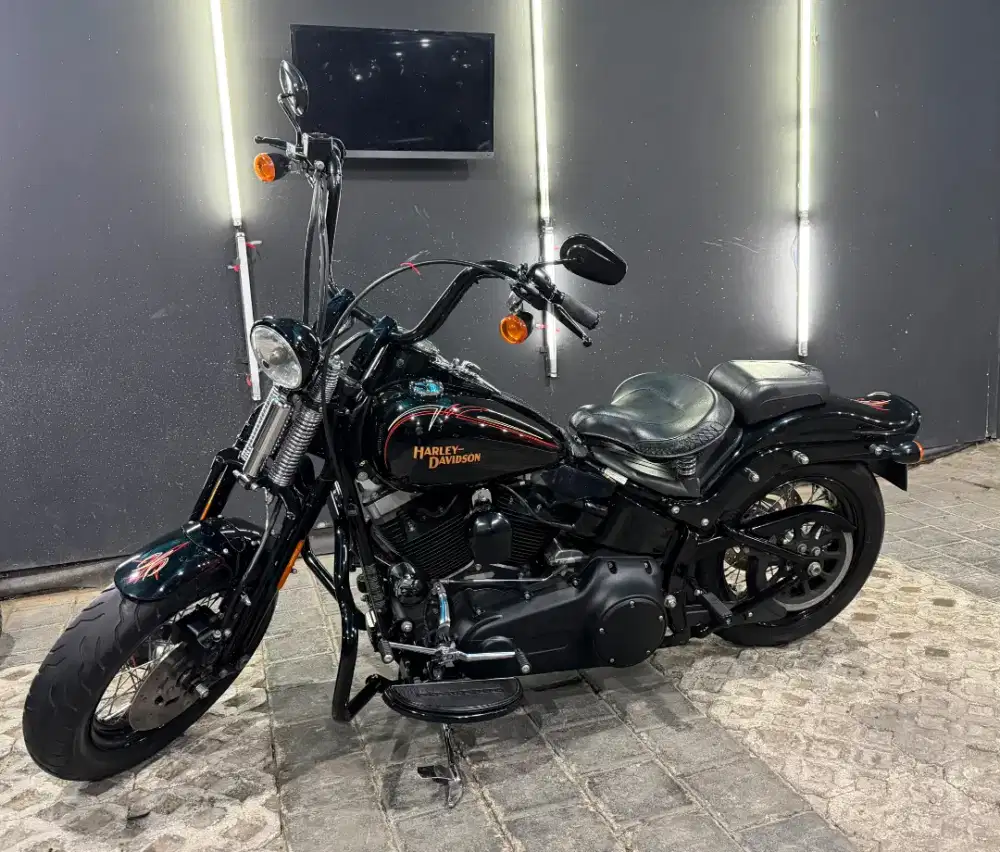 Harley Davidson Crossbones 2009