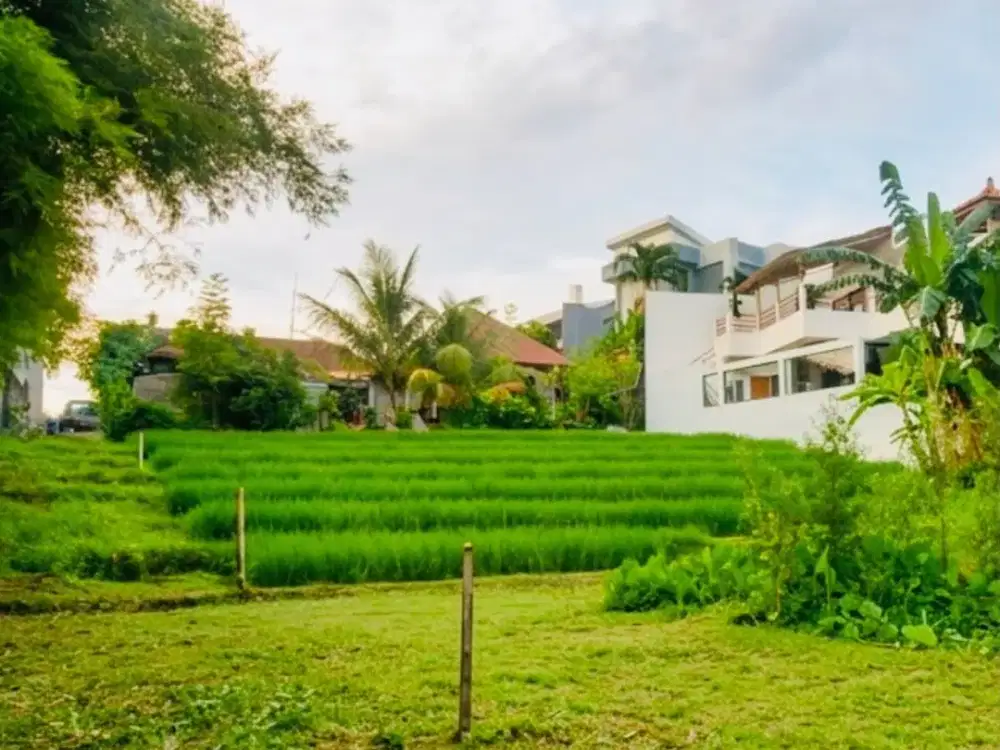 Tanah view sawah tumbak bayuh canggu bali