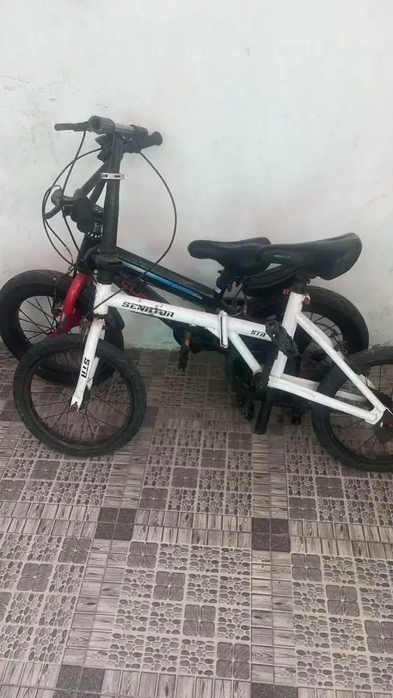 2 sepedah anak murah