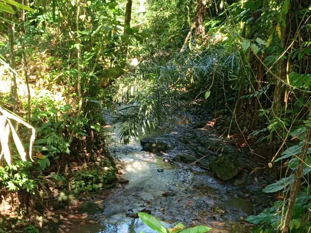 Dijual Tanah Murah Kontur Tanah Sangat Bagus Datar dan Siap Olah