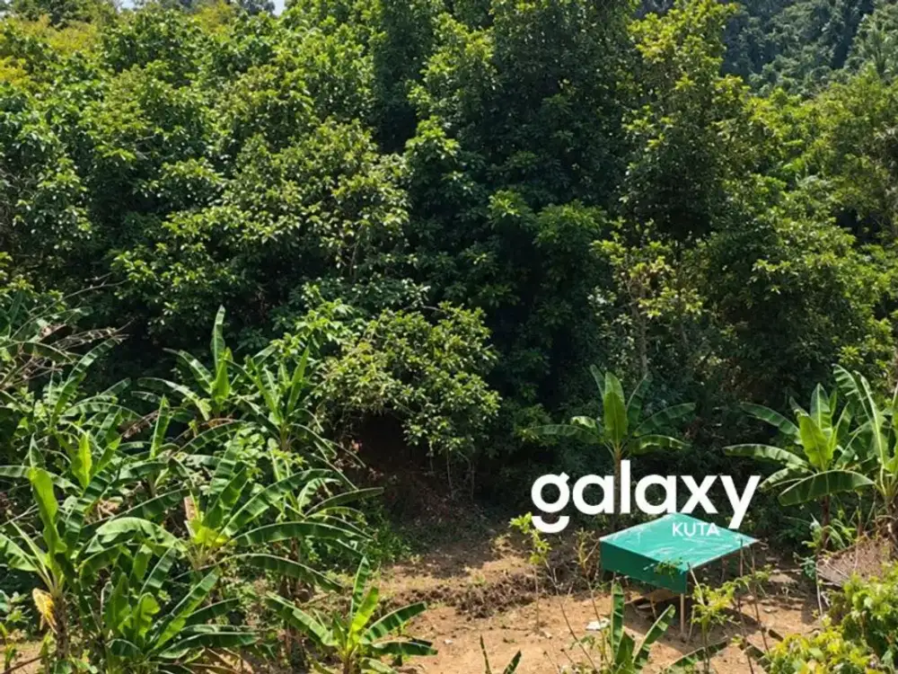 DIJUAL TANAH 18 ARE VIEW SUNGAI DEKAT TANAH LOT DI PANDAK GEDE TABANAN