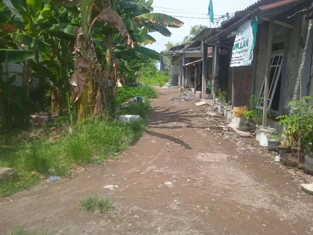 Lelang Tanah di Guntur Demak Rp300 Juta, SHM 710 m²