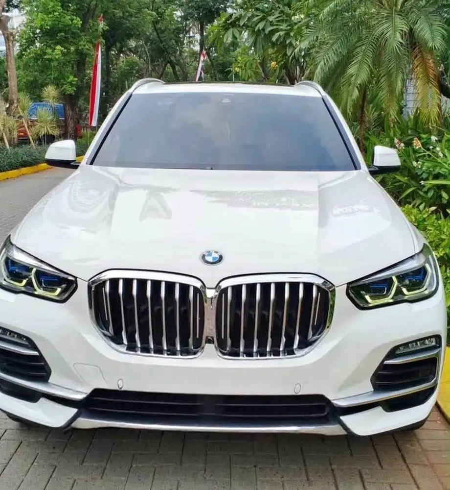 BMW X5 Pribadi 2020 White on Brown