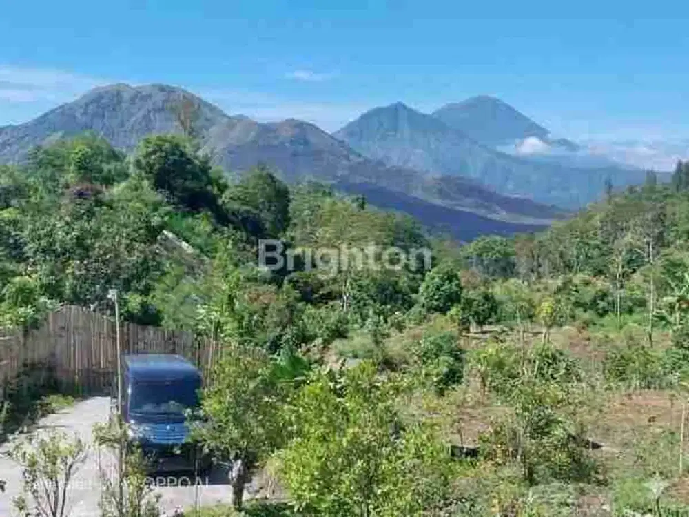 INVESTASI RESORT 6.360 M² DI KINTAMANI VIEW GUNUNG & DANAU BATUR