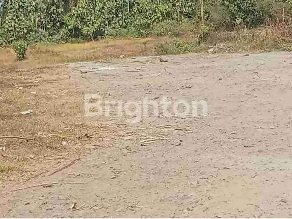 DIJUAL TANAH 9.000 M² SHM SIAP BANGUN HARGA 6,5 MILIAR