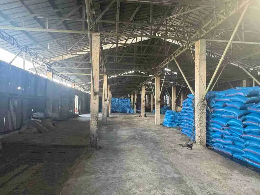 Gudang Kapuk Raya. Hit Tanah saja