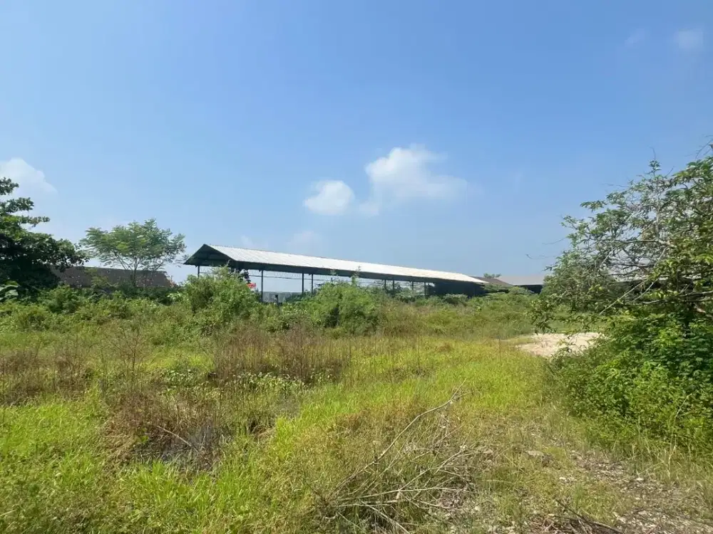 Dijual dan Disewakan Gudang Luas Lokasi Trengguli Demak