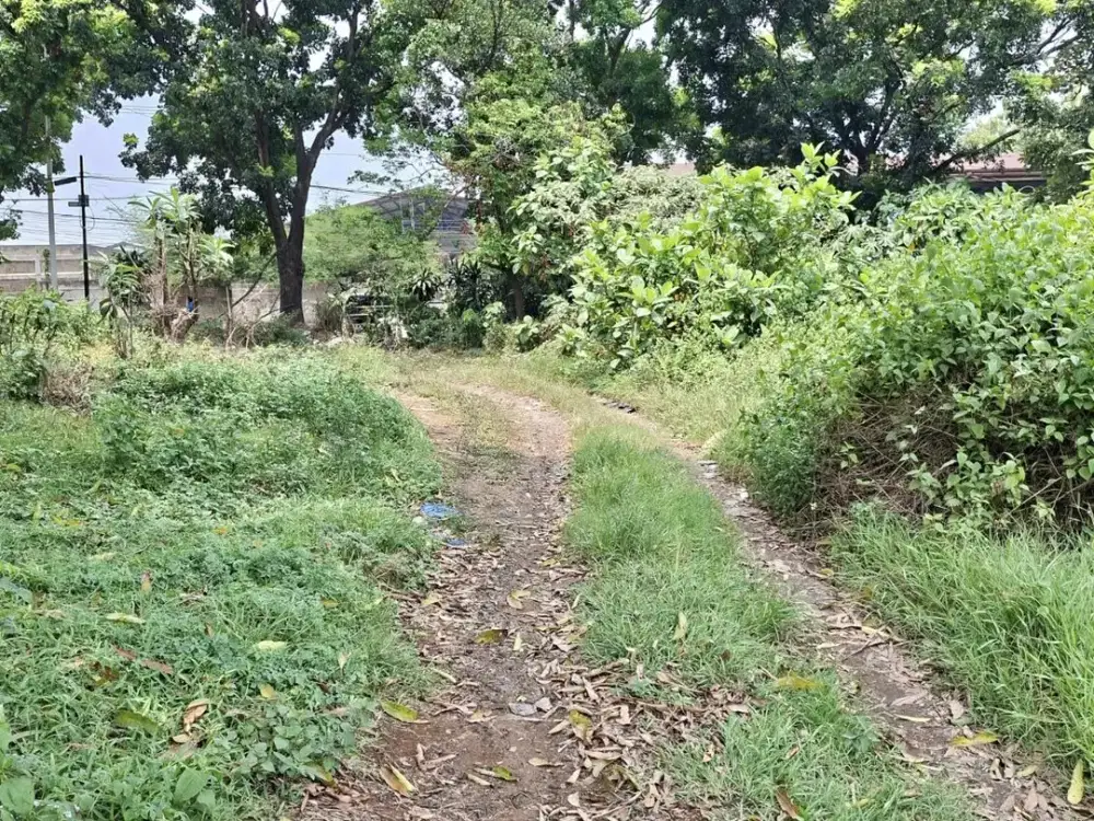 Dijual Tanah Industri di Curug Gunung Sindur Bogor