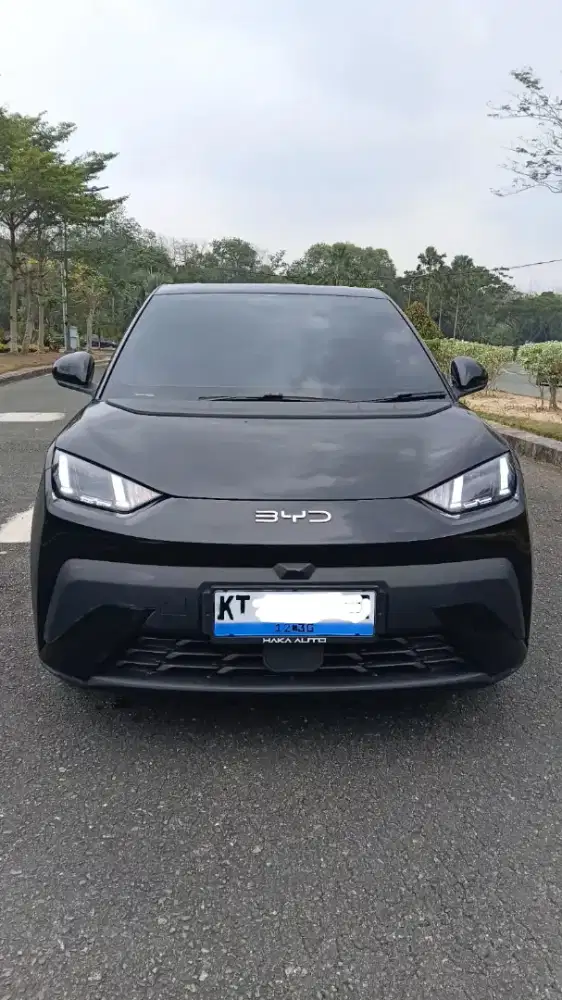 BYD otto1 dynamic