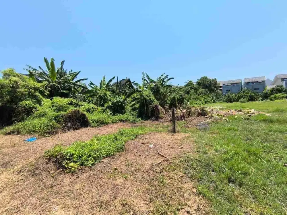Tanah Pantai Pererenan Canggu Badung Bali