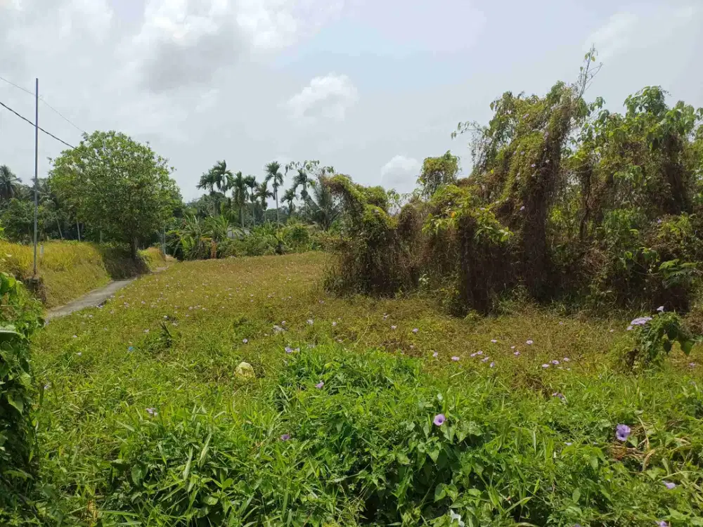 di jual tanah murah  hanya 4.menit ke ubud kota