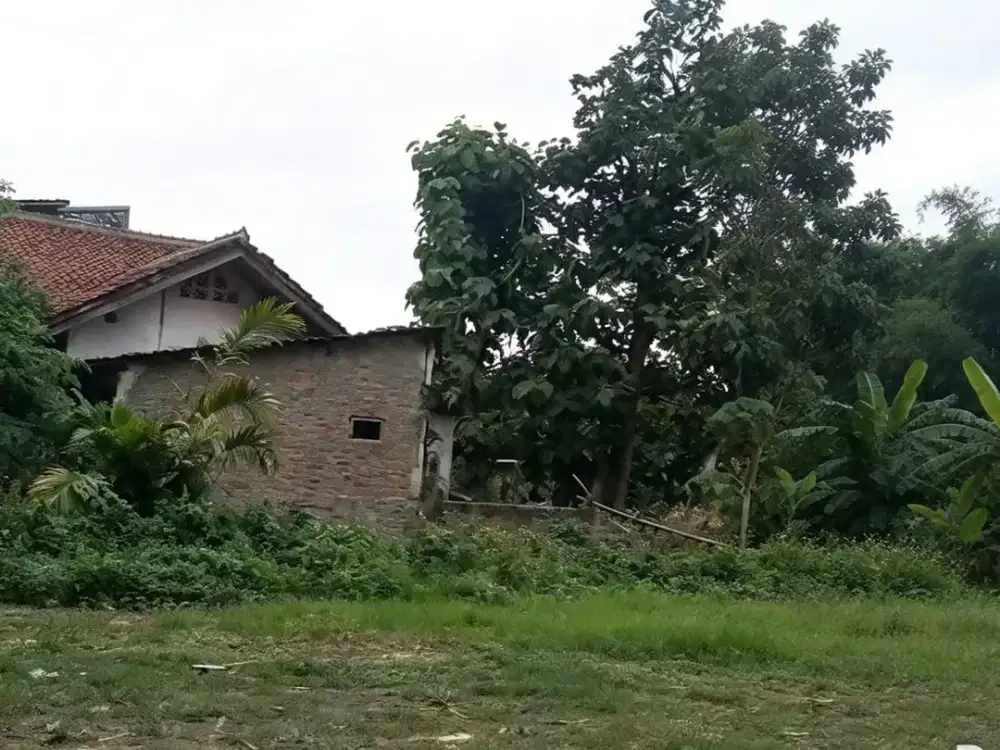 Lahan Margonda Depok Dibangun untuk Hunian atau Investasi
