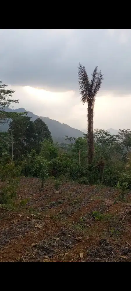 Di jual tanah pekarangan luas 2700m.di getasan
