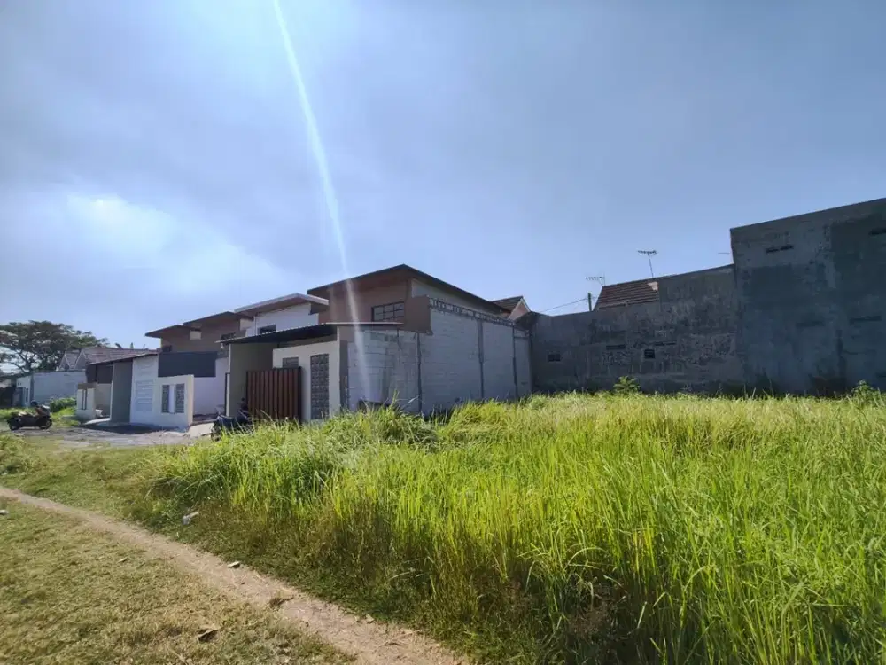 Jual Tanah Murah Lokasi Karangbong Gedangan Sidoarjo