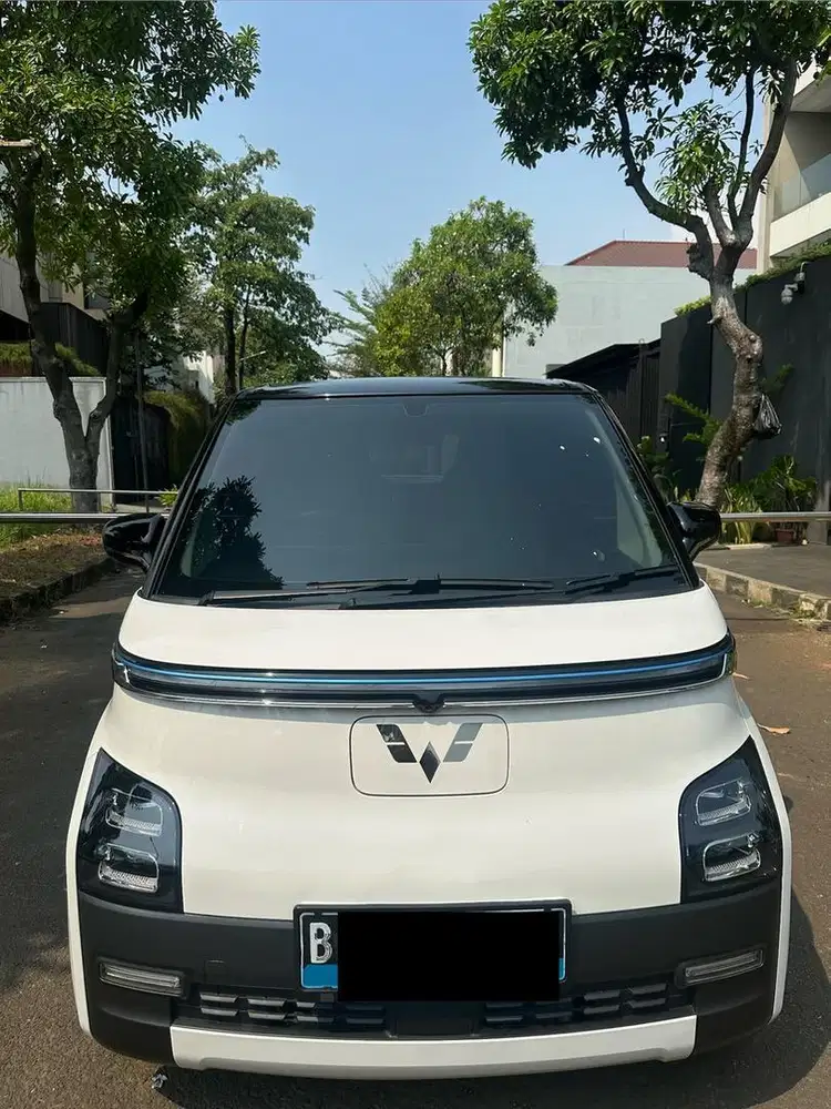 Wuling Air EV (Cash) Long Range (tipe plg tinggi) 2023 2024