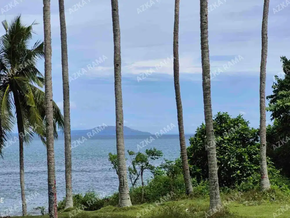 TANAH LOS PANTAI 8 HEKTAR PANTAI CUPEL BALUKRENING JEMBRANA