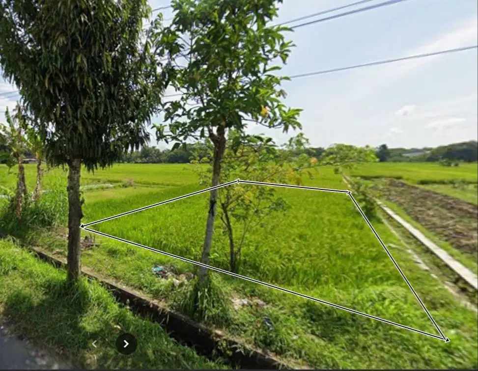 Tanah Sawah SHM Pinggir Jalan Utama Tanpa Perantara