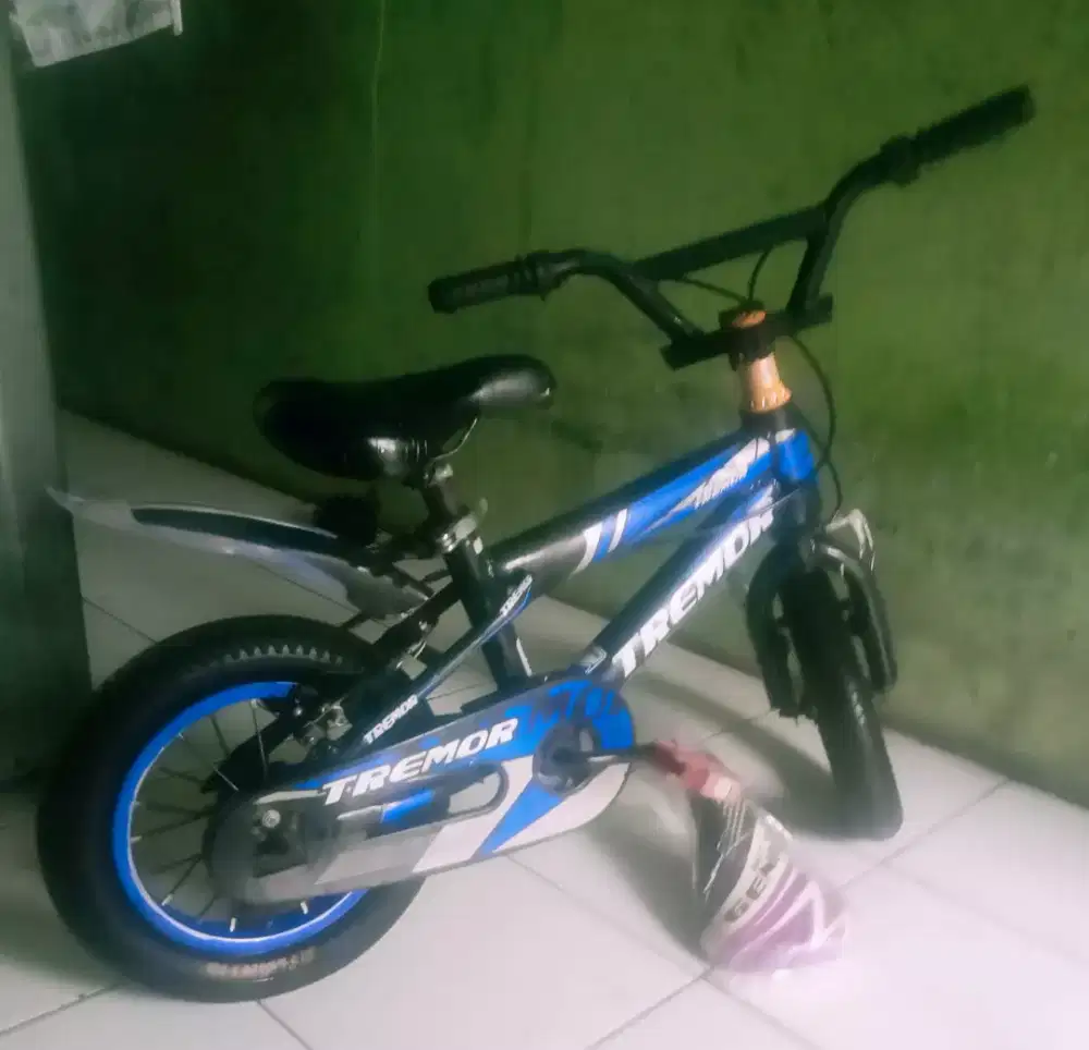 Sepeda anak termor UK 12