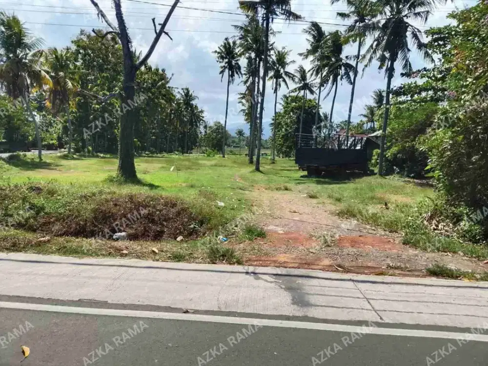 TANAH HOOK JALAN UTAMA 89 ARE, TEGAL BADENG TIMUR JEMBRANA