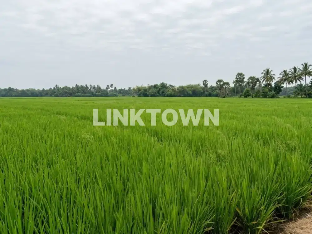 DIJUAL TANAH LOKASI STRATEGIS DI CIKARANG BEKASI