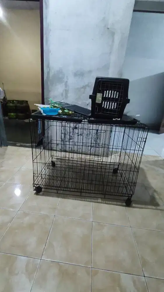 Kandang bekas kelinci