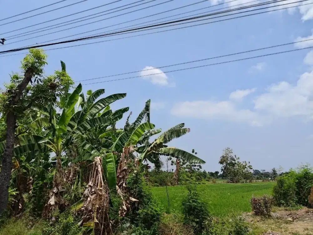 Dijual Tanah zona merah Jalan Mojo Tasikmadu dapat 2 akses bisa peluasan lokasi strategis kawasan industri besar