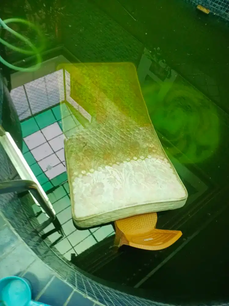keluarkan kasur dari kolam renang