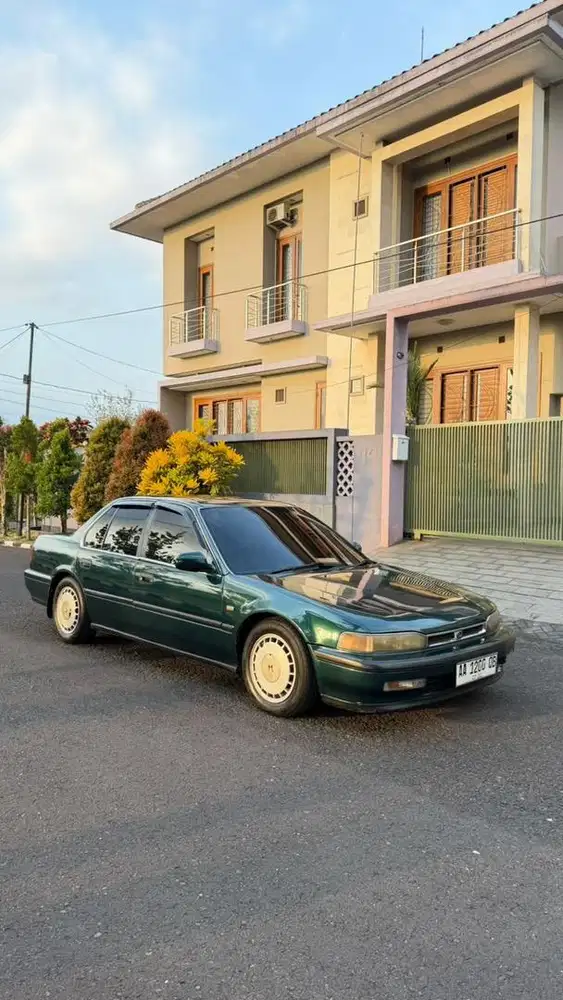 Accord maestro original istimewa