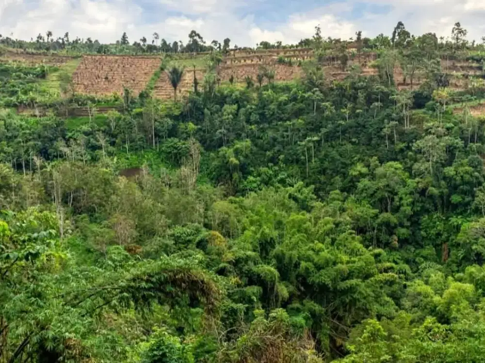 Dijual Tanah Lokasi Premium di Hook Jalan Aspal View Gunung