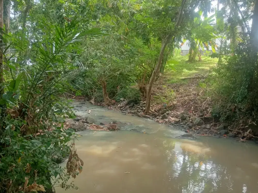 Langka! Tanah di Tepi Sungai dengan Pemandangan Sawah yang Asri