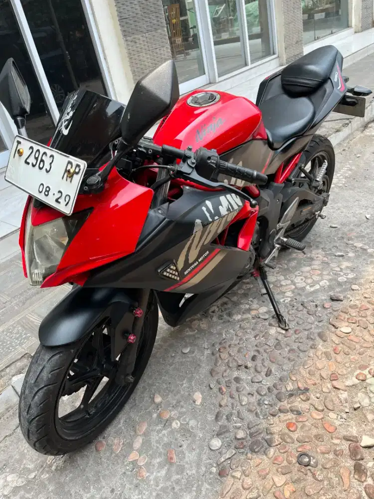 NINJA RR 2019 Mono