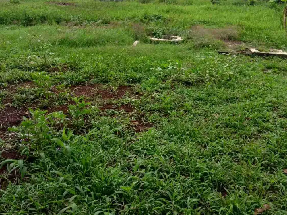 dijual tanah kosong strategis di muncul Serpong Tangerang Selatan
