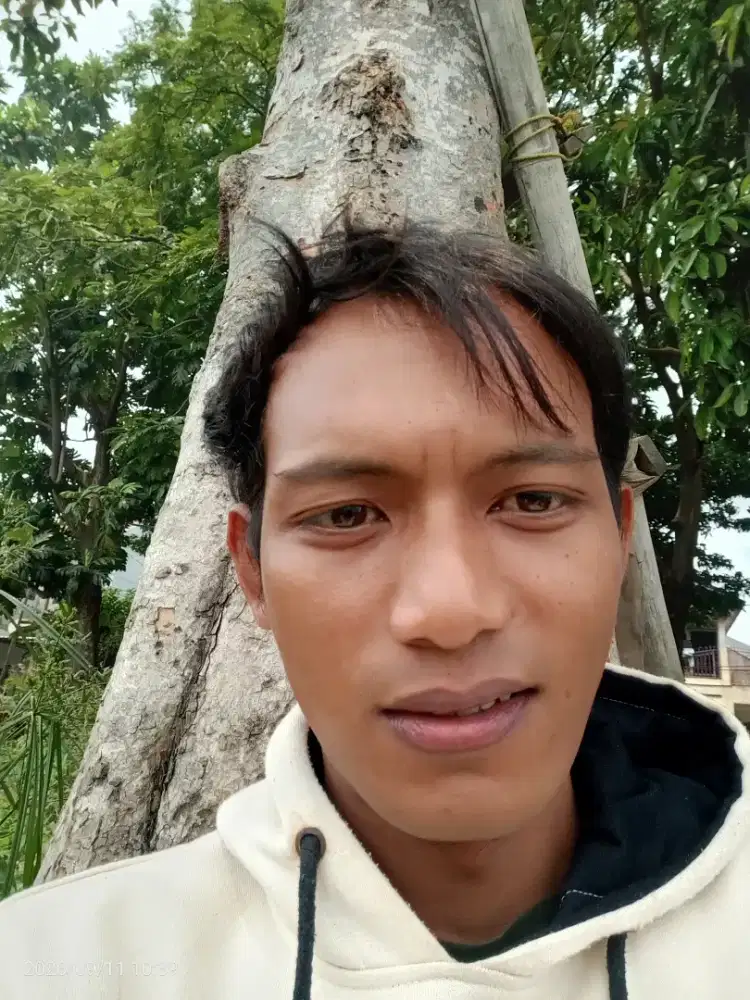 Cari kerja apa saja