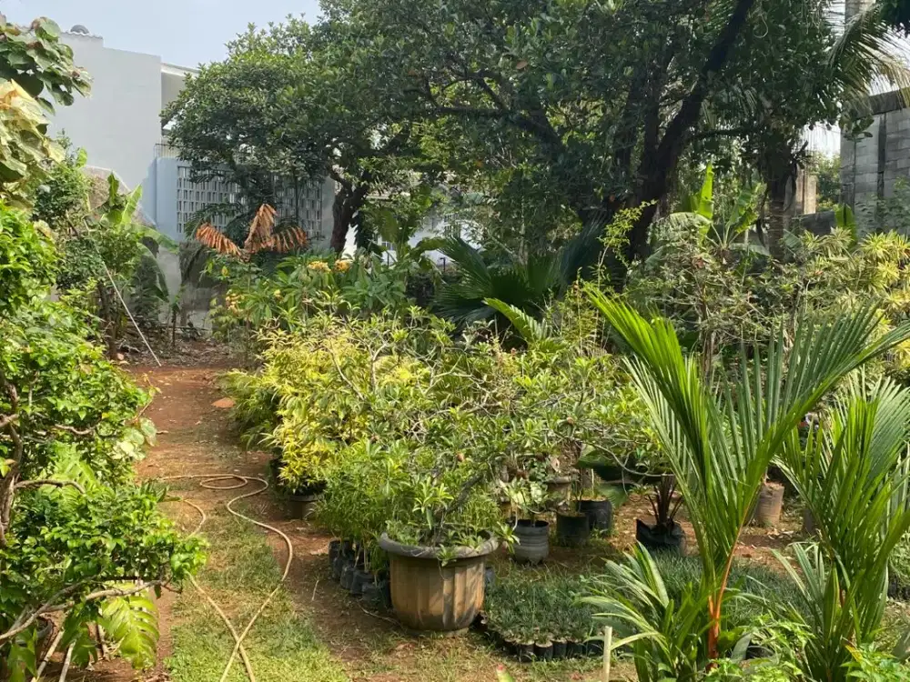 Dijual tanah Premium di lokasi super strategis di Cilandak Jakarta selatan, di Jalan raya utama cocok untuk perkantoran/ resto/Town House ekslusive.