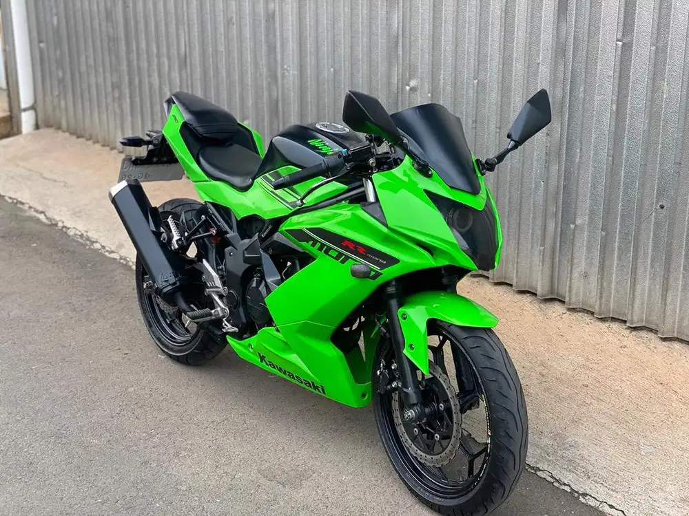 Kawasaki Ninja Mono SL 250 2016