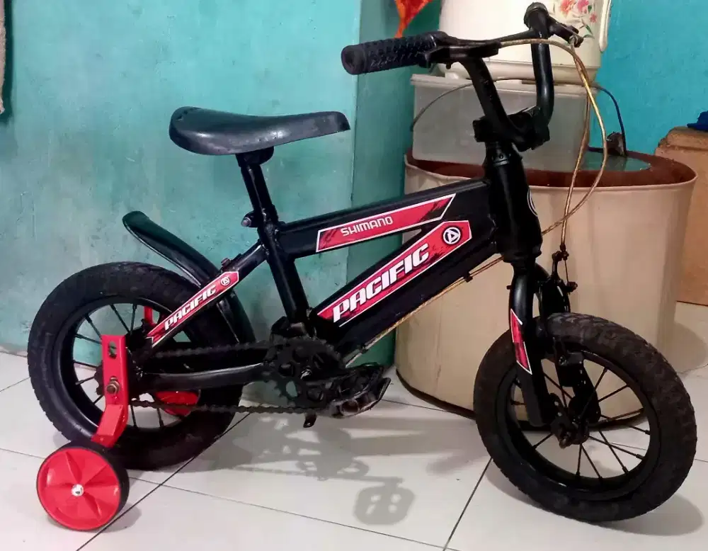 Sepedah anak usia 3 sampai5 tahun