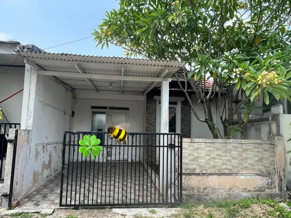 Dijual Rumah Butuh Renovasi Sedikit di Citra Indah 3319A