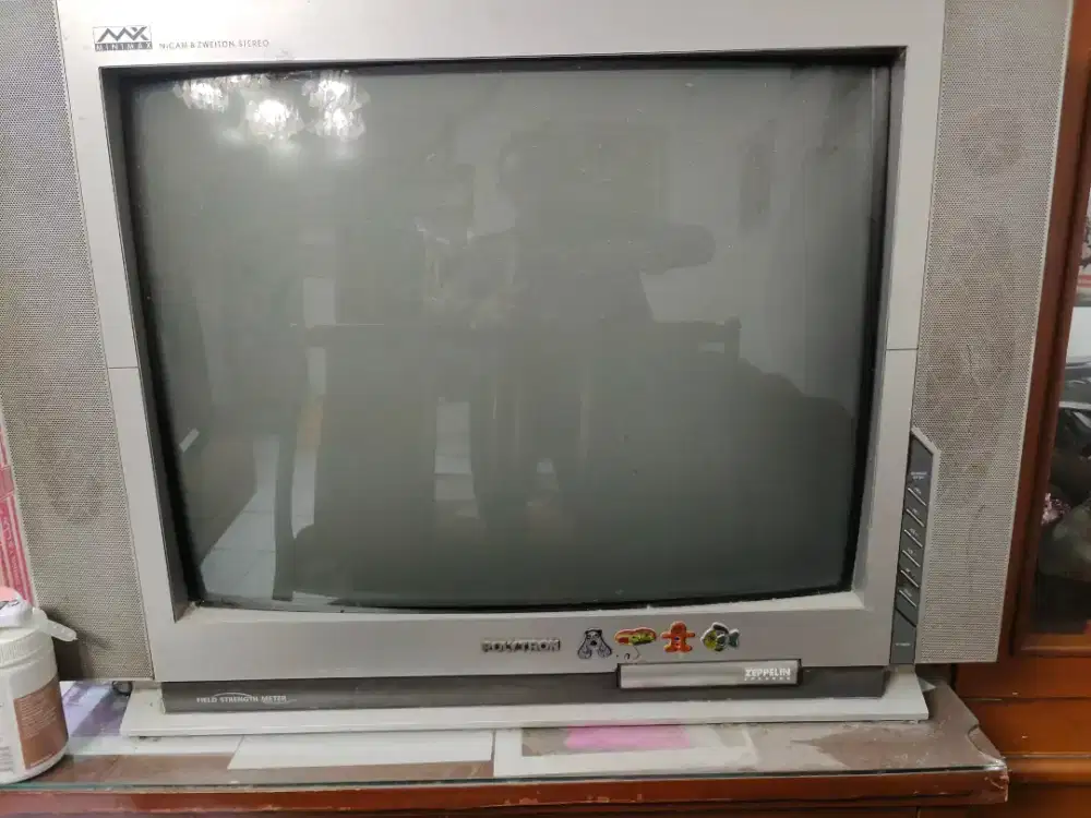 TV Tabung Polytron 30 inch