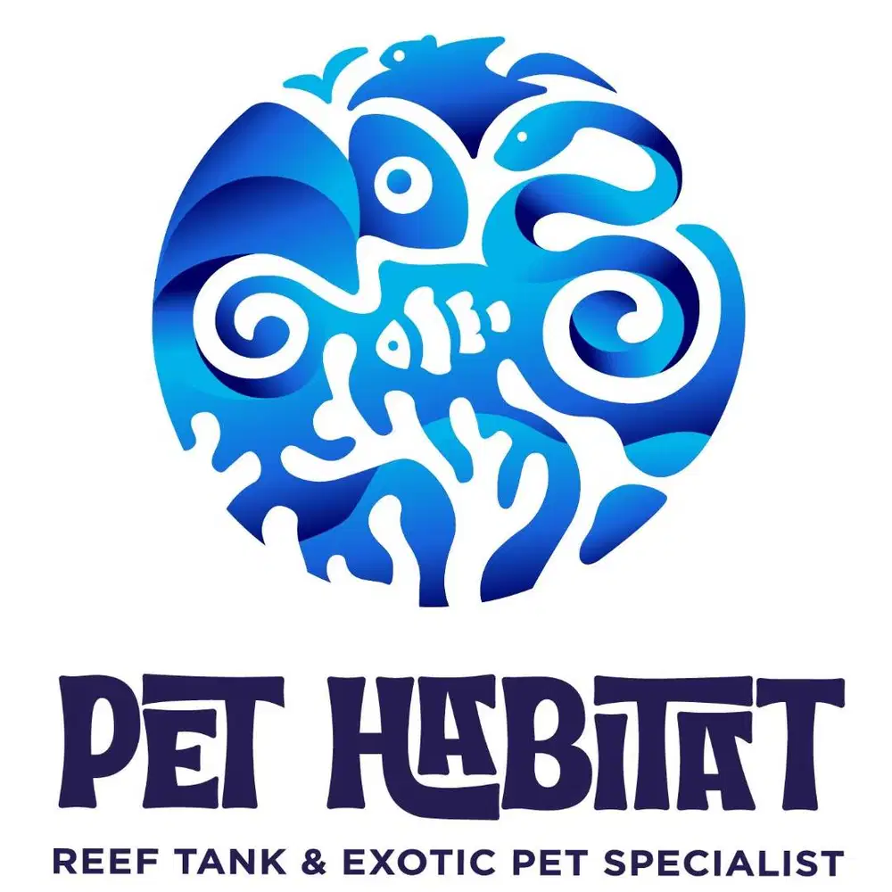 DIBUTUHKAN CONTENT CREATOR TIKTOK IG TOKO AQUARIUM