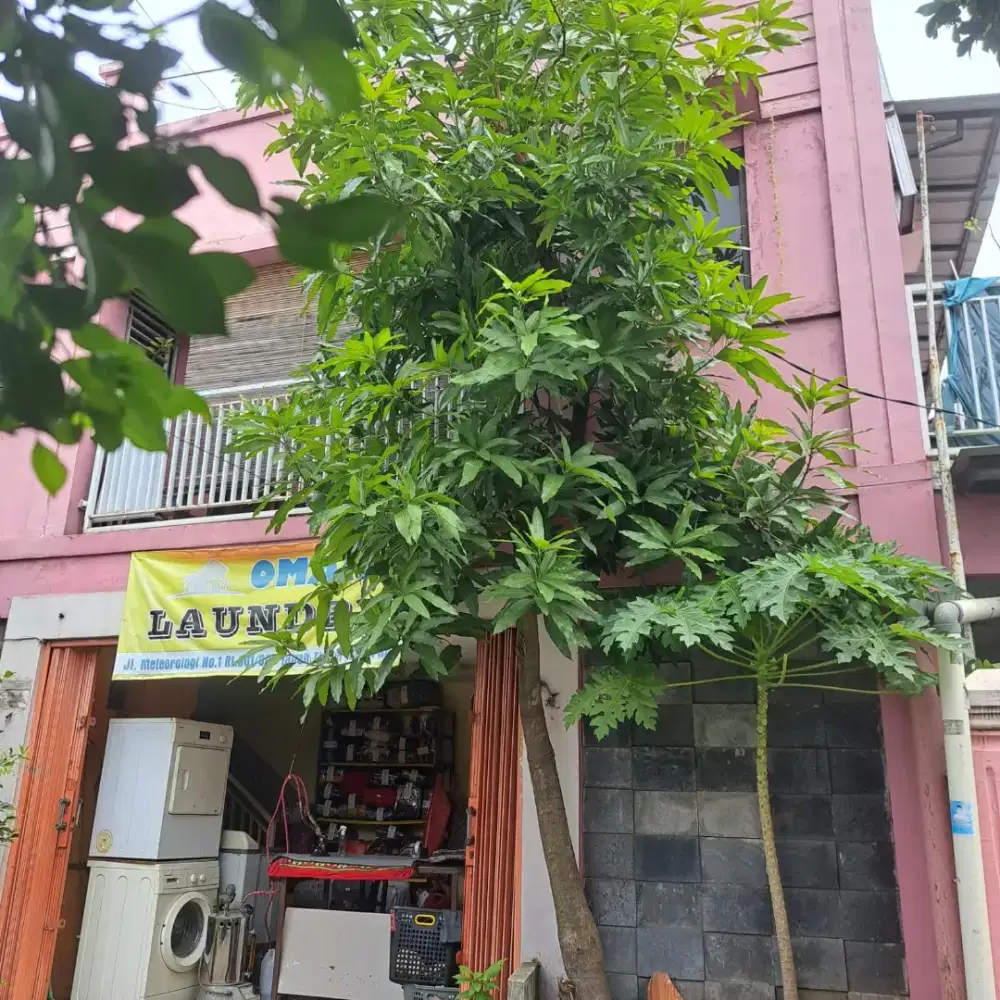 Jual ruko 2 lantai laundry aktif omzet 10jt an