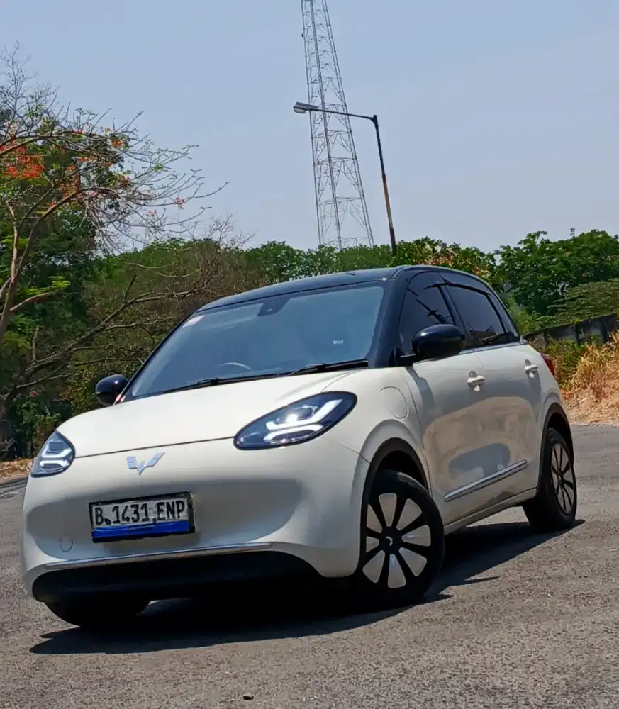 DP 50 jt BINGUO EV Premium 410 Km At 2024