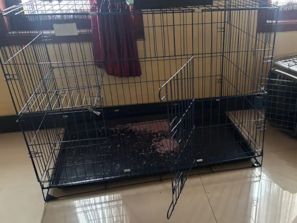 jual kandang kucinh