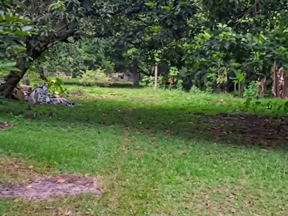 Rare Listing! Tanah Komersial 5.000 m² di Kota Wisata Cibubur, Dekat Mall Ciputra