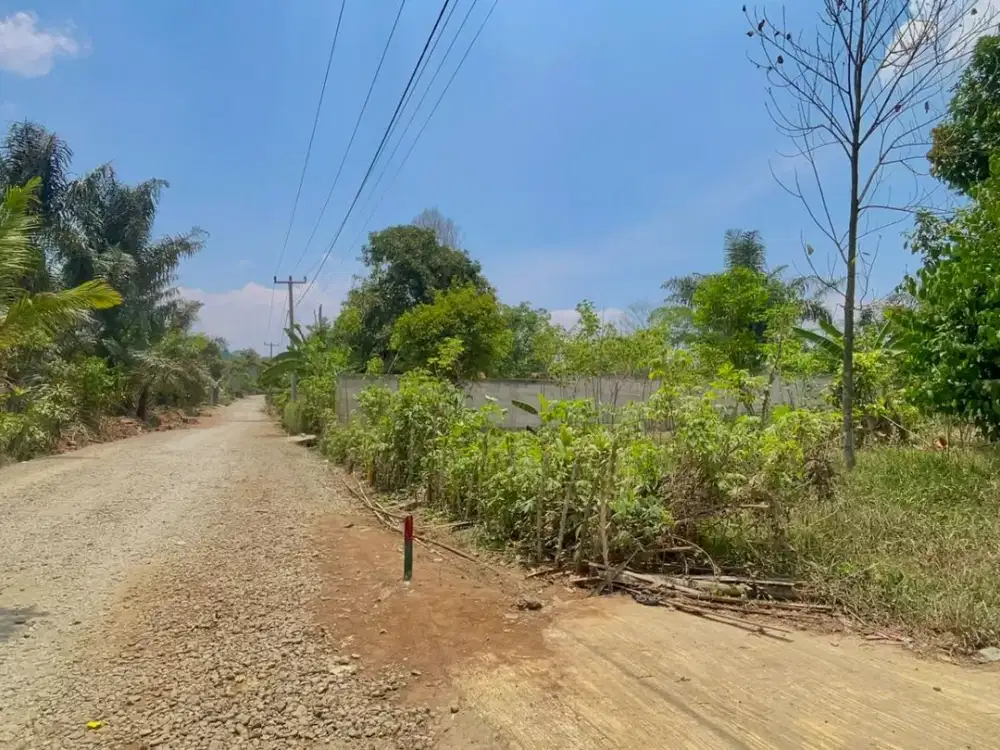 Dijual Murah Tanah Kebun Pala Rambutan 1200 m2 di Bojong Purwakarta