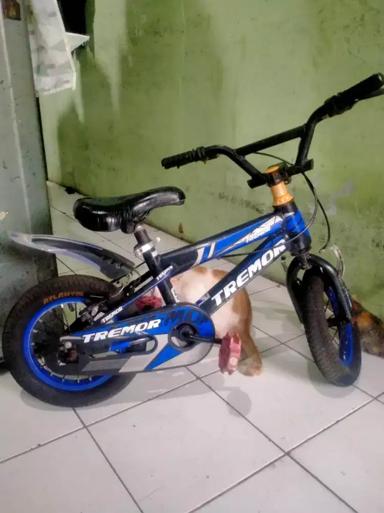 Sepeda anak termor UK 12
